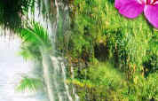 Maui homes for sale from Hawaii real estate agent Randy Keller for Maui real estate.