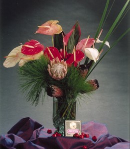 Tropical Flowers! organic tropical flower delivery pesticide-free flower no pesticides flowers delivered